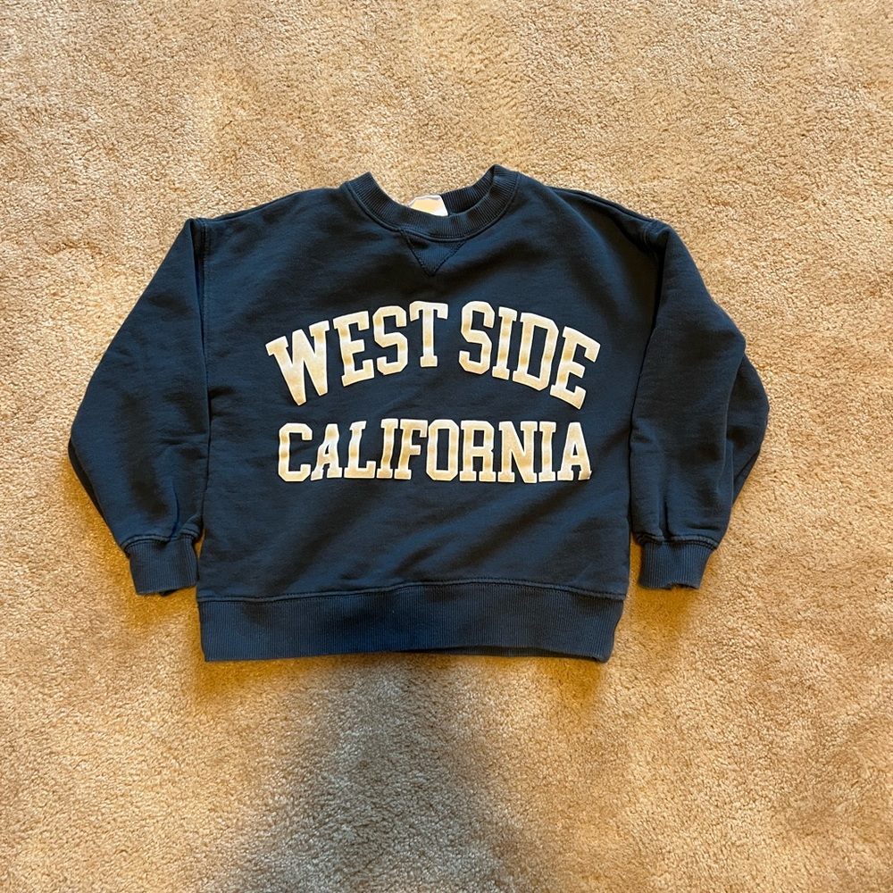 Zara sweatshirt